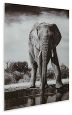 Glinyard - Wall Art - Black / White