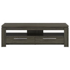 Elkton - 2-Drawer Engineered Wood 59" TV Stand