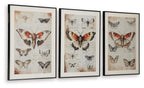 Jossletts - Wall Art Set (Set of 3) - Orange / Black / Ivory
