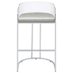 Thermosolis - Clear Acrylic Chair (Set of 2)